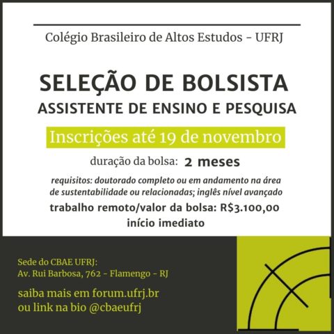 Faculdade de Letras da UFMG - SELEÇÃO DE BOLSISTA PIBEXT UFMG